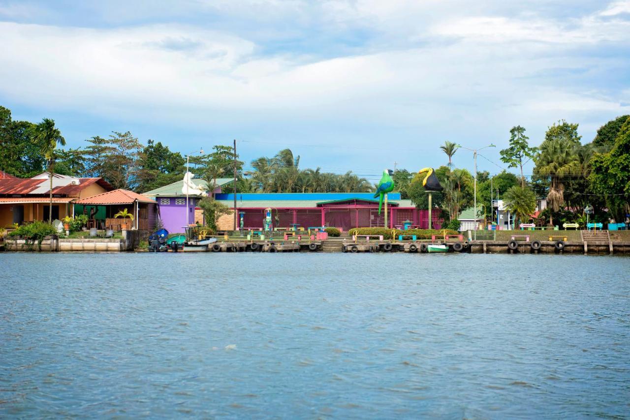 The Corner House Διαμέρισμα Tortuguero Εξωτερικό φωτογραφία